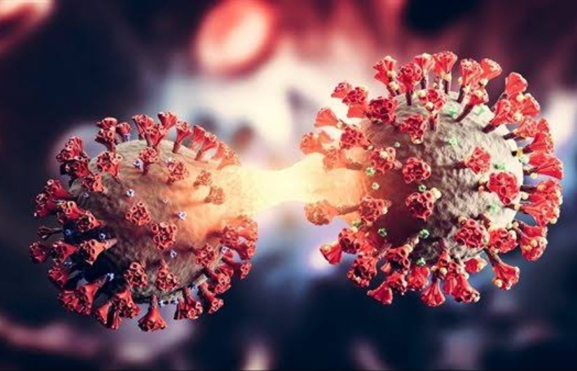 متحور كورونا الجديد سيكادا