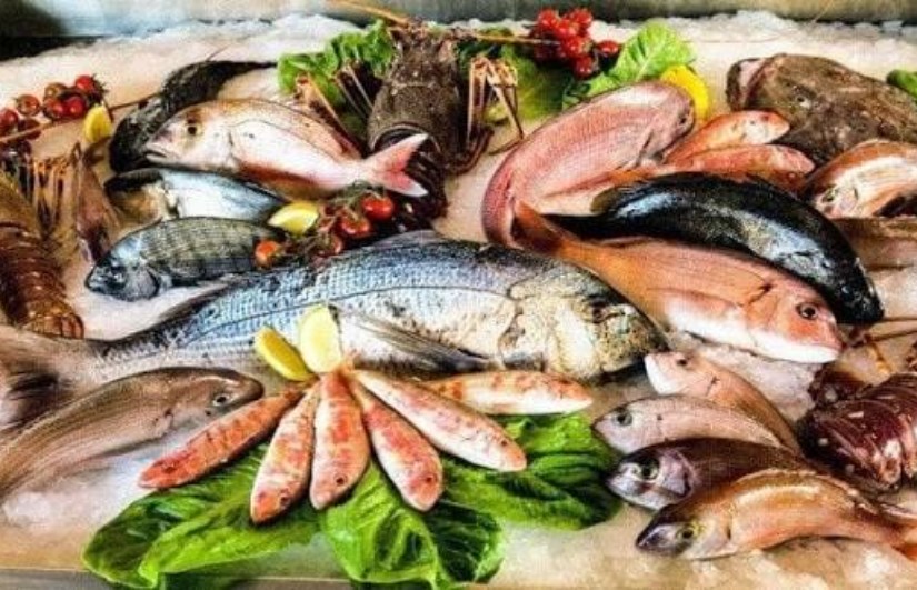 أسعار الأسماك اليوم في مصر الخميس