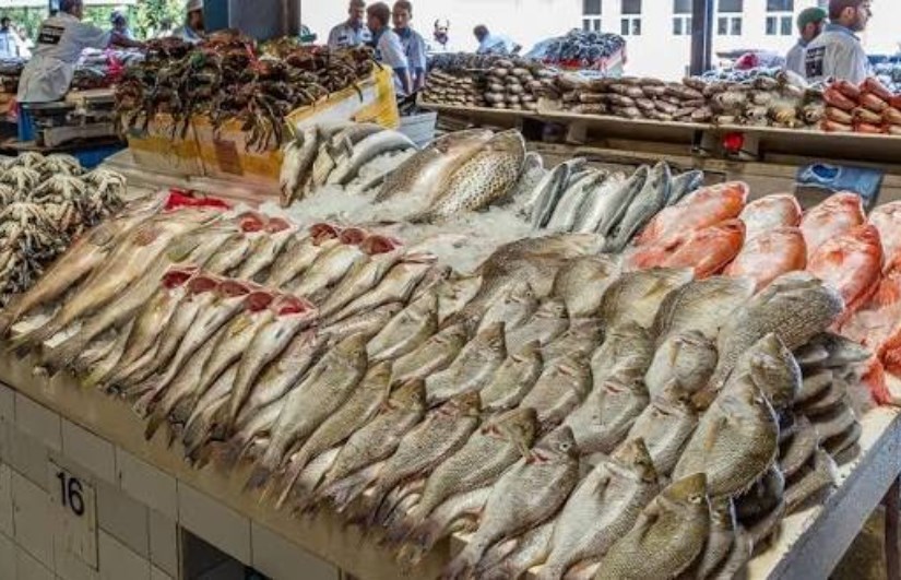 أسعار الأسماك والمأكولات البحرية اليوم الجمعة 17 أبريل 2026