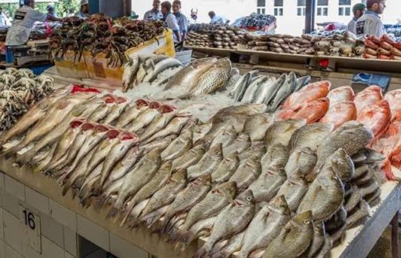 أسعار الأسماك اليوم في مصر السبت