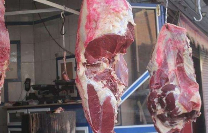 أسعار اللحوم الحمراء البتلو اليوم 