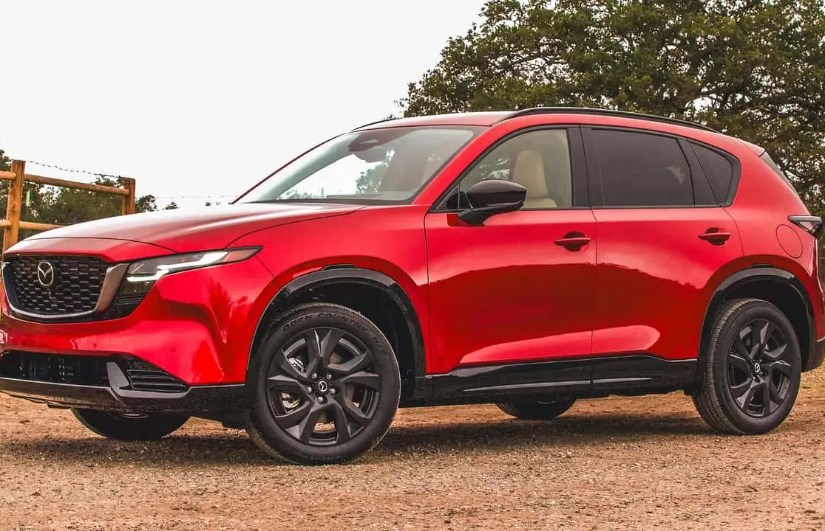 أفضل الكروس أوفر المدمجة لعام 2026 