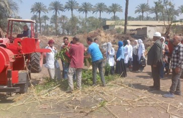 جانب من الفعاليات 