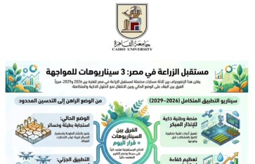بيوت الخبرة 