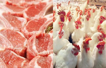 أسعار اللحوم والدواجن والخضروات اليوم