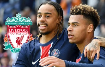 باركولا