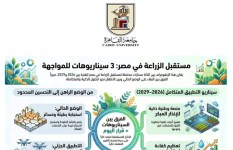 بيوت الخبرة 
