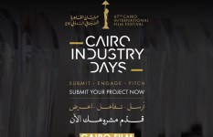مهرجان القاهرة السينمائي الدولي