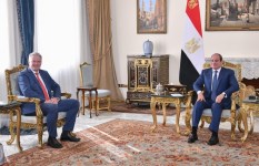 السيسي يستقبل أمين عام “التعاون الاقتصادي والتنمية”
