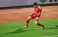 الأهلي 