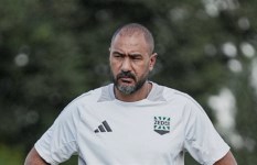 محمد شوقي 