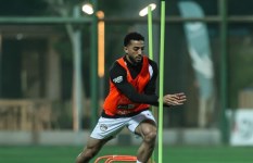 محمد عبد المنعم 