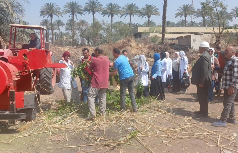 جانب من الفعاليات 