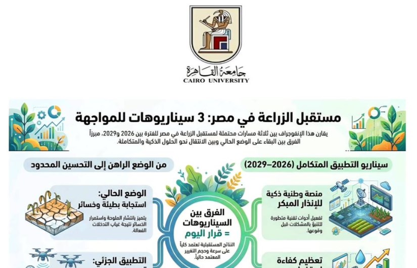 بيوت الخبرة 