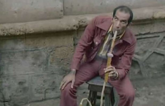 نجاح الموجي 