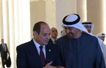 الرئيس عبدالفتاح السيسي ورئيس الإمارات 