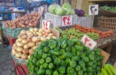 أسعار الخضروات اليوم في إمبابة
