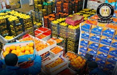 صادرات الصناعات الغذائية المصرية
