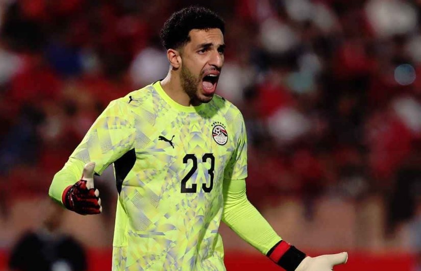 مصطفى شوبير 