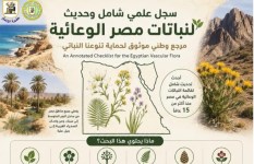 إضاءات بحثية