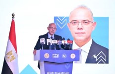وزير الاستثمار 