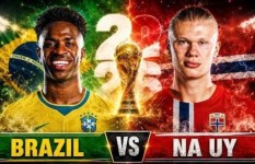 النرويج ضد البرازيل 