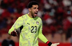 مصطفى شوبير 
