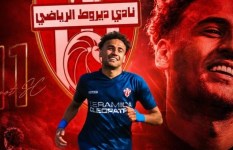 محمود عجيب 
