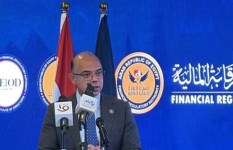 وزير الاستثمار 