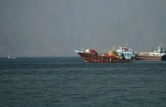 أرشيفية 