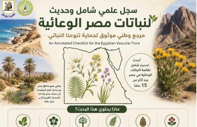 إضاءات بحثية