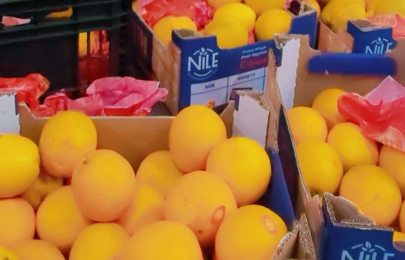 البرتقال