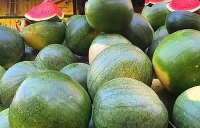 البطيخ