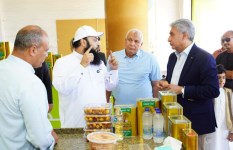 مهرجان لحصاد الزيتون والتراث البدوي