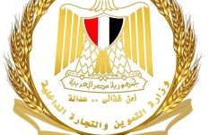 وزارة التموين 