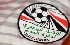 دوري المحترفين 