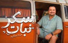 أغنية سكر نبات 