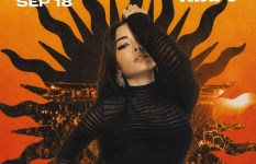 هيفاء وهبي 