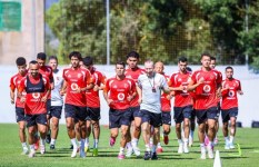 الأهلي 