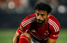 الأهلي 