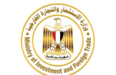 وزارة الاستثمار 