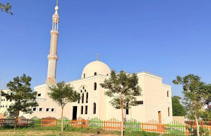 مشروعات الإسكلن 