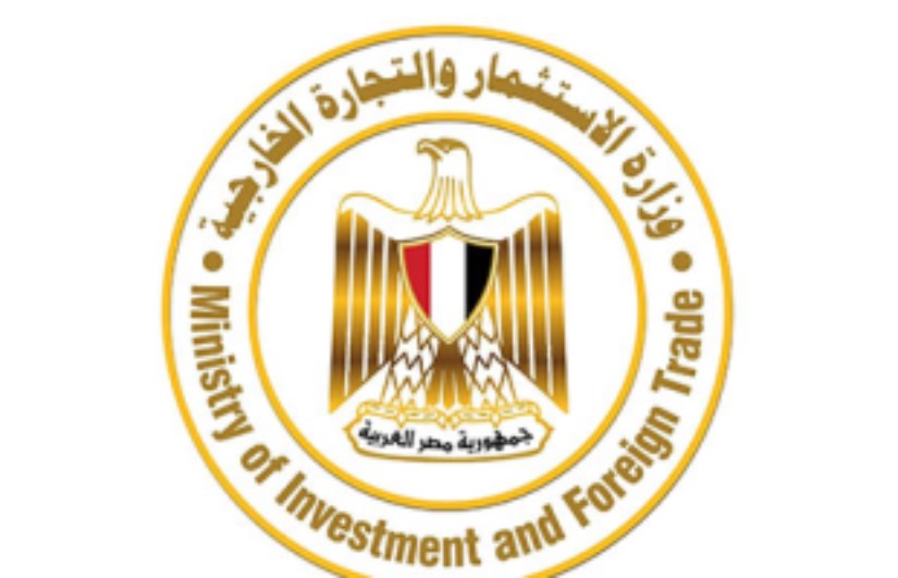 وزارة الاستثمار 