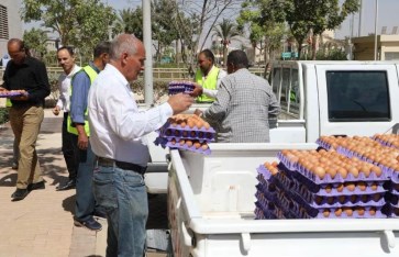 سيارات البيض في القاهرة والجيزة