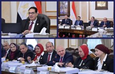 جانب من الفعاليات 