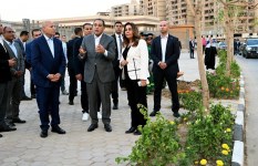 جولة لمتابعة تشجير القاهرة