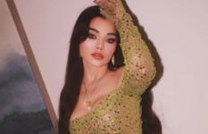 هيفاء وهبي 