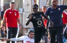 الأهلي 
