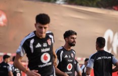 الأهلي 