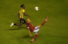 الأهلي 